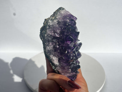 Amethyst Cluster